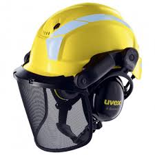 tanizawa safety helmet price